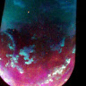 Meet your Posher, Crunchy